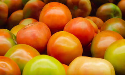 salad tomatoes stacked for retail sale