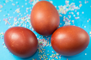 easter eggs on green background