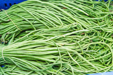 Chinese vainitas long beans for retail sale