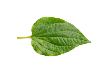 Fototapeta premium Image of Piper sarmentosum or Leafus leaves on white background. Nature.