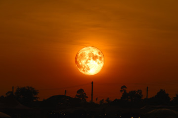 Obraz premium full egg moon back on silhouette plant on night sky