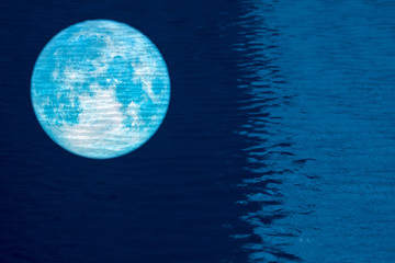 reflection full fish moon on water surface of swimming poo