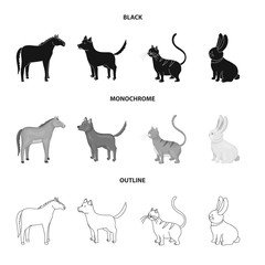 Vector design of breeding and kitchen  icon. Collection of breeding and organic  stock vector illustration.