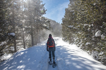 Woman with her dog coming down from the shelter of "Comes de Rubió" in winter with snowshoes.