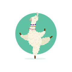Cute cartoon llama practicing yoga pose. Animal yoga. Relaxation and meditation illustration. © Soliannikova