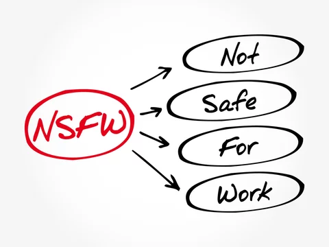 Not safe for work (NSFW) Meaning in Hindi/Urdu  Meaning of Not safe for  work (NSFW) 