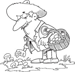 man collects mushrooms