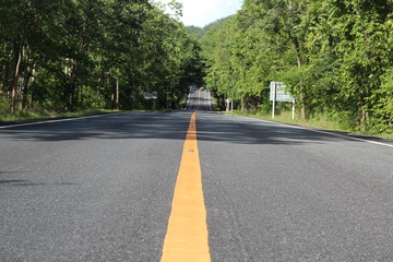 Fototapeta premium road in the park