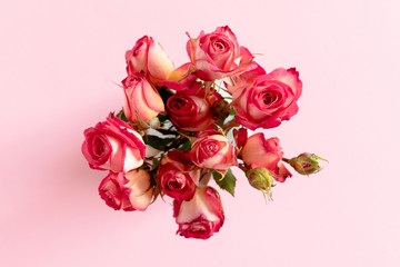 Bouquet of pink roses