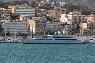 panoramic view of the city of Genoa