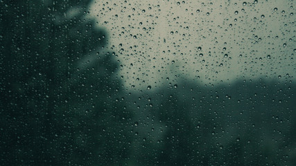 Rainy Day