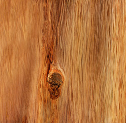 background and texture of wood