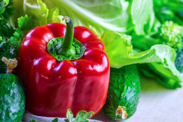 Fresh vegetables for salad.