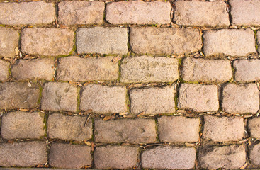 Old stone pavement gray. View from above.