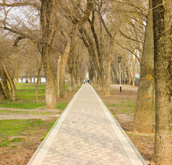  Footpath in the old park, rushing into its depth of the territory.