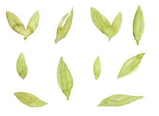 Naklejka premium elements isolated on white. collection of leaves