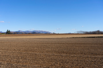 Rural landscape in Brianza, Italy, at winter