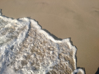 gentle wave roll