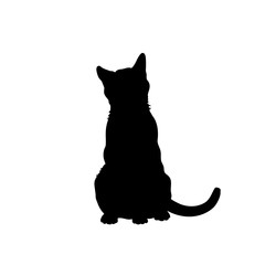 Black silhouette of cat. Isolated image of kitty. Farm pet. Veterinary clinic logo.