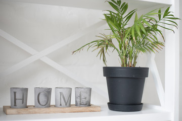 Modern living room with sofa and furniture