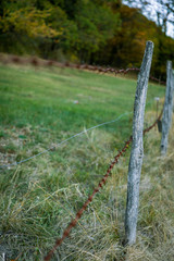 Fototapeta premium Clôture de barbelé rouillée