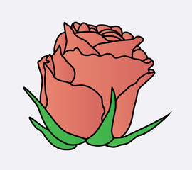 Rose flower Icon.