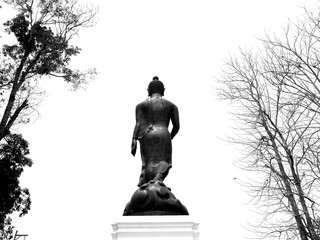 black and white big buddha standing with tree white background