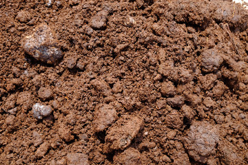 Cow dung of fertilizer closeup