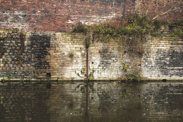 Plants find a way to grow on an old, weathered wall beside a canal