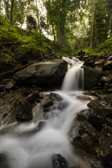 Rivière au milieux des bois dans les alpes