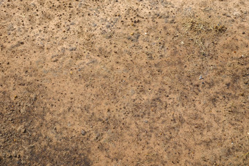 soil on the ground with gravel texture