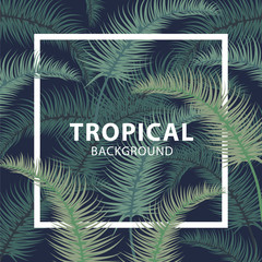 tropikal arka plan - obrazy, fototapety, plakaty