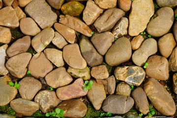 stone on ground in garden