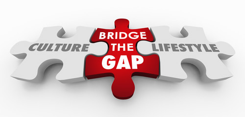 Culture Lifestyle Bridge the Gap Puzzle Pieces 3d Illustration