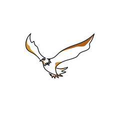 minimalist line art eagle logo designs vector, colorful animal logo designs concept
