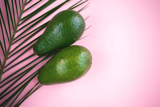 two ripe green avocados are lying on a pink background next to the robelini branch and free space for writing to the right
