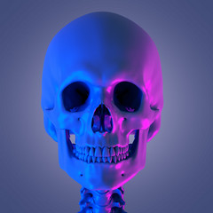 3d rendered abstract rendering of the skull