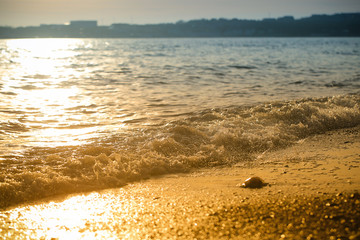 sea beach and waves background image