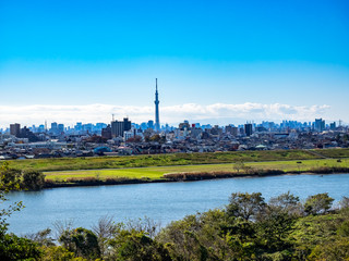 Fototapeta premium Looking across the Edo River into Tokyo