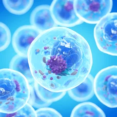 Fotobehang 3d illustration of a human cell © Sebastian Kaulitzki