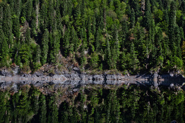 Reflections of trees in the mirror of a mountain lake, a green coniferous forest on a slope is walled. Lake Ritz  Tourism in the Caucasus in Abkhazia.