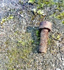 Schraube am boden