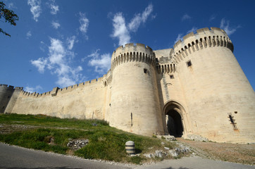 Fototapeta na wymiar Villeneuve-lès-Avignon : le chateau