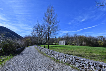 A mountain path surrounded by nature