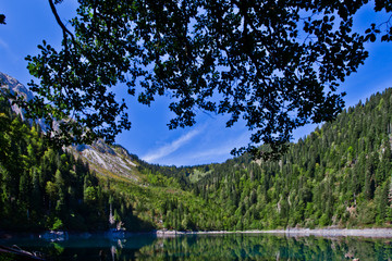 Branches over the water. Turquoise water of a mountain lake surrounded by green wooded hills under...