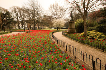 Frühling in Cardiff (Gorsedd Gardens)