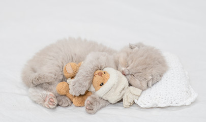 Fototapeta na wymiar Baby kitten sleeping with toy bear on pillow