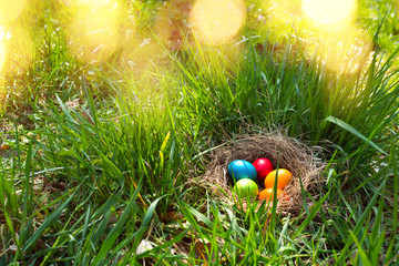 Easter eggs in green gras