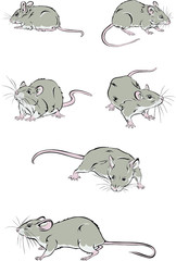 Mice, color, various poses, movements and foreshortenings of figures