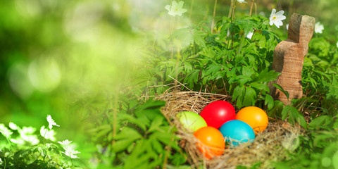 Easter eggs in green nature